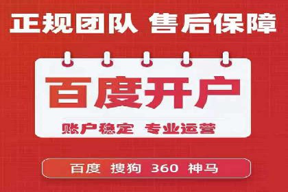 某某SEM团队成功案例：广告投放策略揭秘